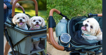 Strolee Pet Stroller Giveaway