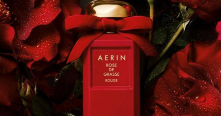 aerin rose
