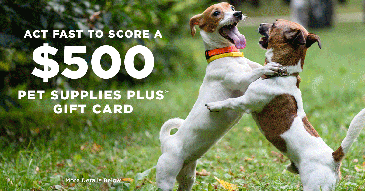 Pet Supplies Plus Quikly Giveaway The Freebie Guy 