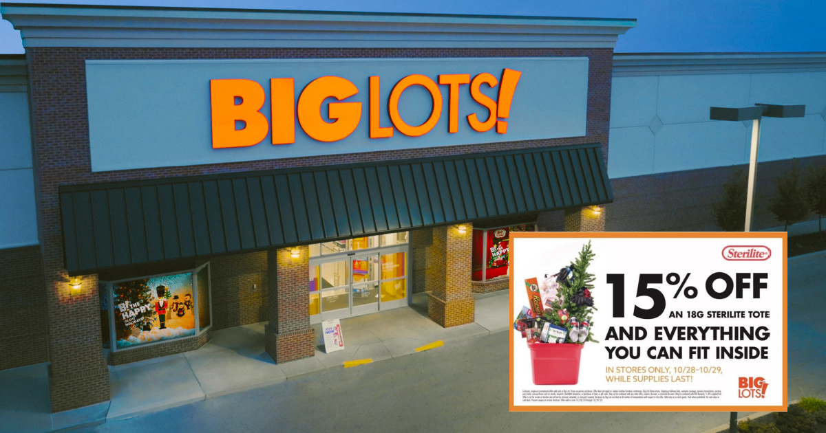 Big Lots 15 OFF Sterilite Tote + Everything You Can Fit Inside