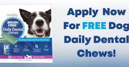 daily dental chews for dogs