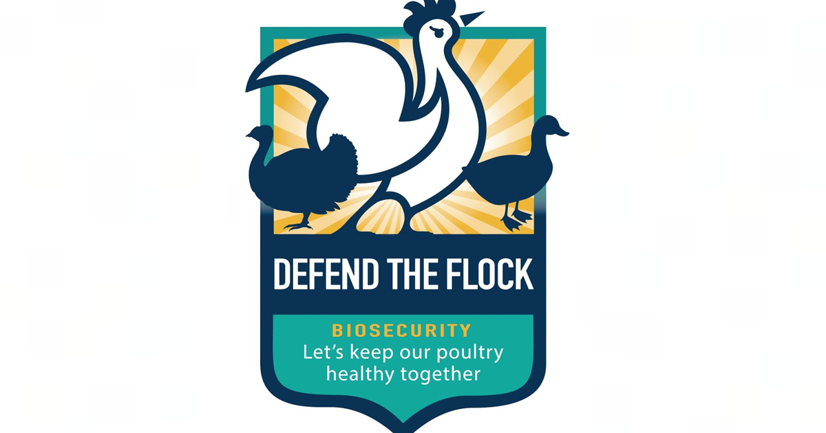 defend the flock bookmark