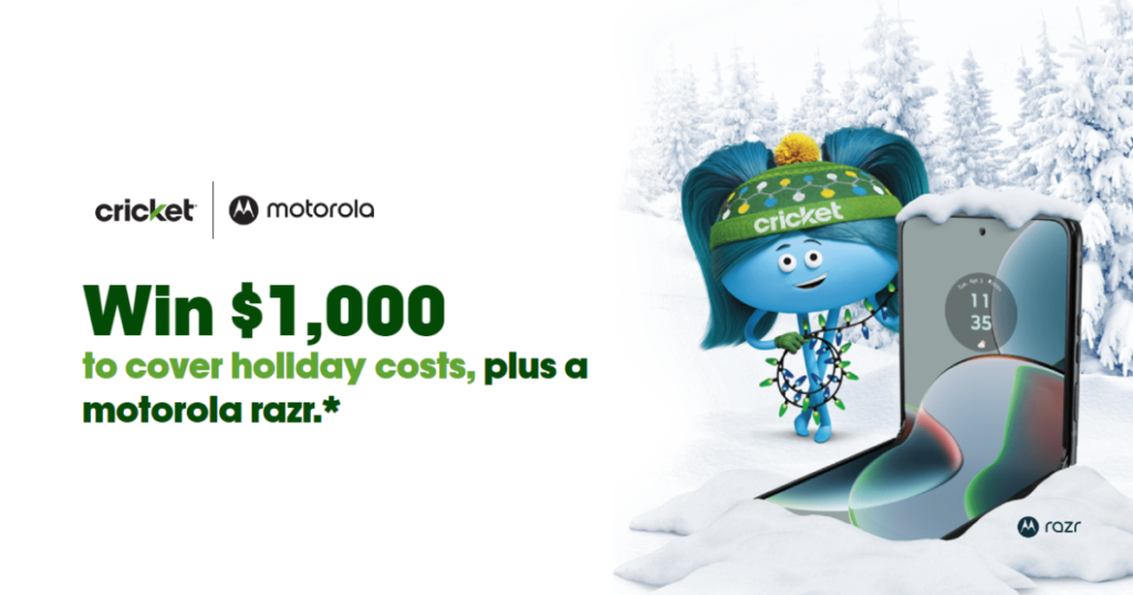 Days of Cricket Holiday Sweepstakes