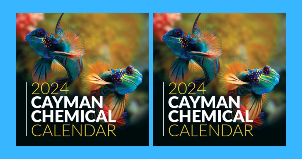 Free 2024 Cayman Calendar The Freebie Guy® ️️️