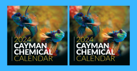 cayman calendar long