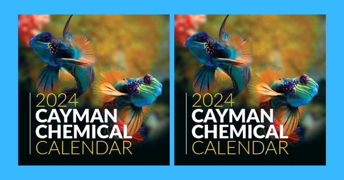 Free 2024 Cayman Calendar The Freebie Guy Freebies, Penny Shopping