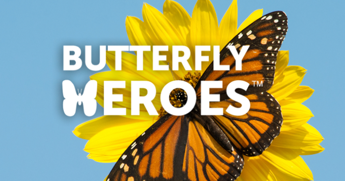 Free Butterfly Hero Resource Kit The Freebie Guy® ️️️