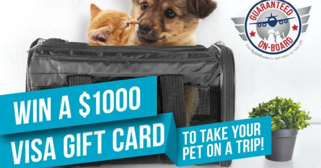 Sherpa Enter to Win A Visa Gift Card Giveaway