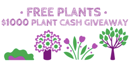 free plants