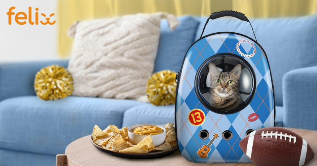 Felix Cat Insurance Football and Felines Sweepstakes