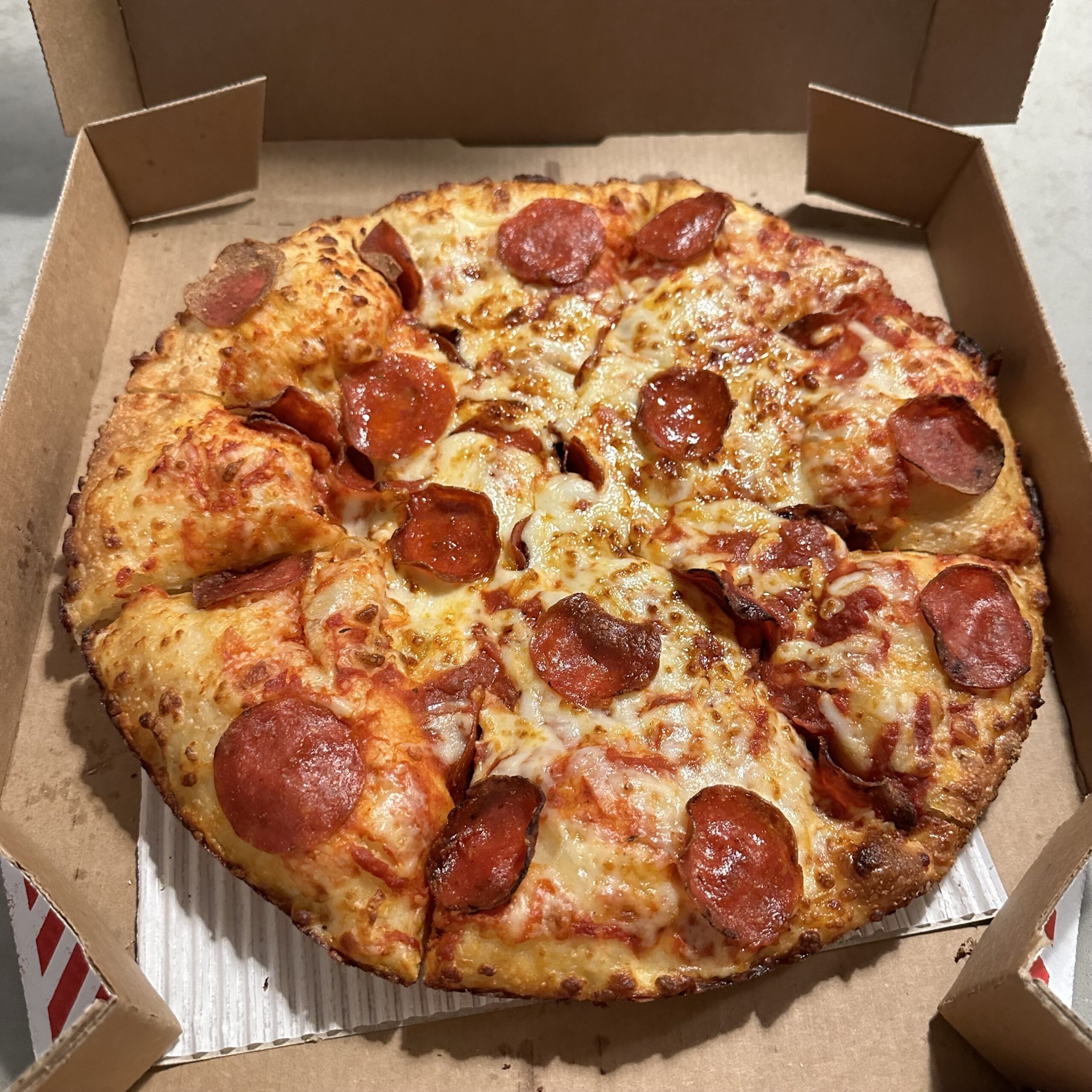 dominos-pizza Free food Coupons - The Freebie Guy