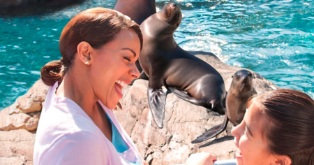 sea world teacher fun card