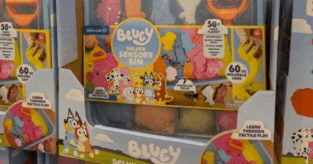 Sam's Club Bluey Sensory Set
