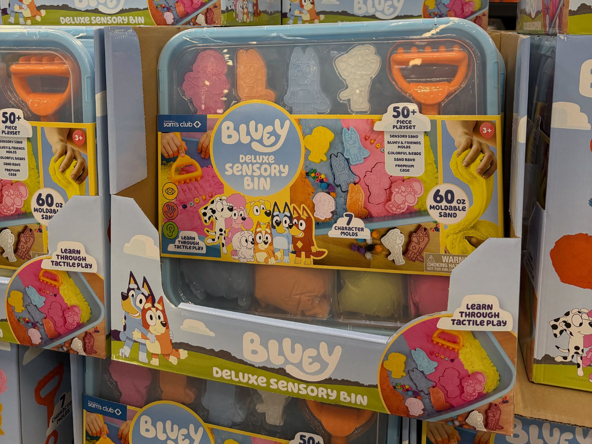 Sam's Club Bluey Sensory Set