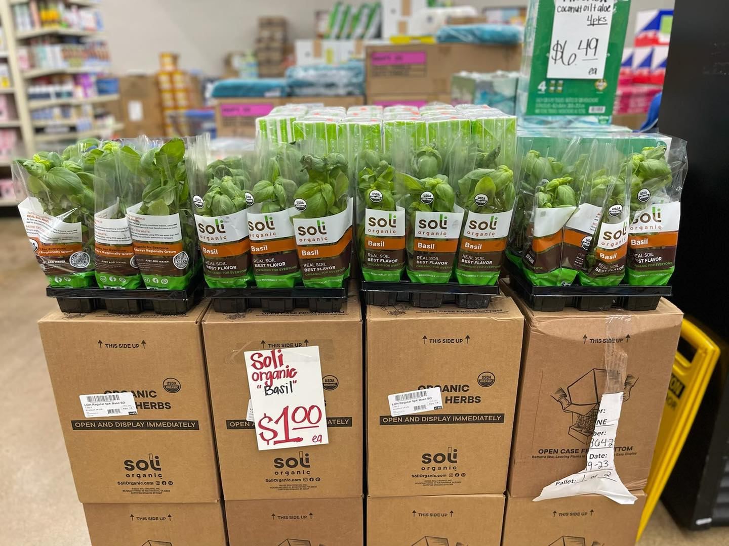 herbs available at Grocery Clearance Center