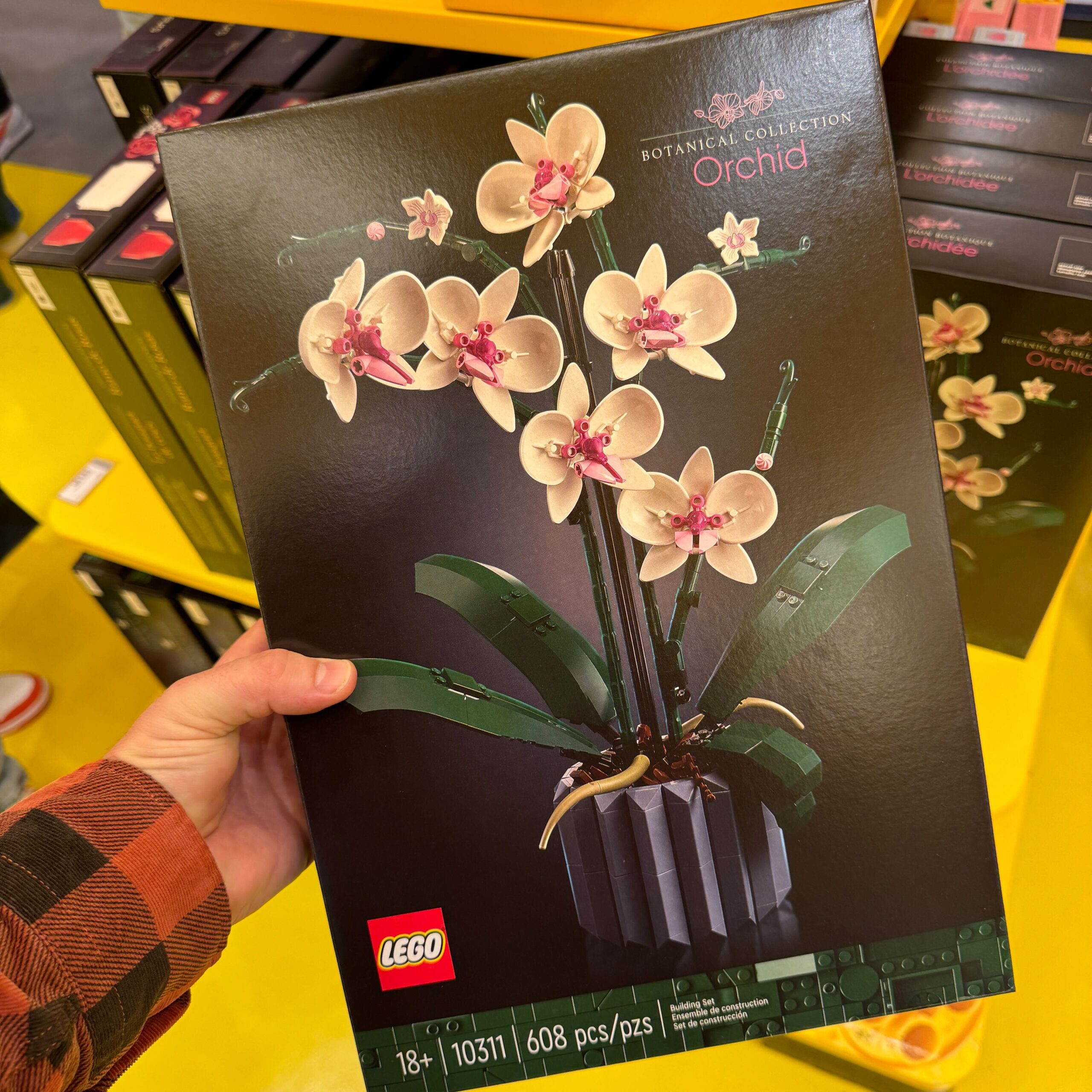 Hand holding the lego orchid set in box