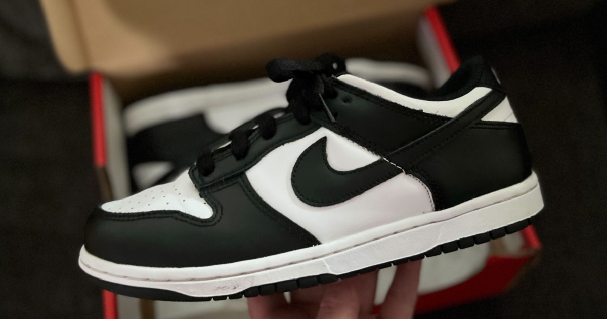 Nike Dunk Low Pandas & Rose Whisper as Low as $64 Shipped at ASOS (Reg ...