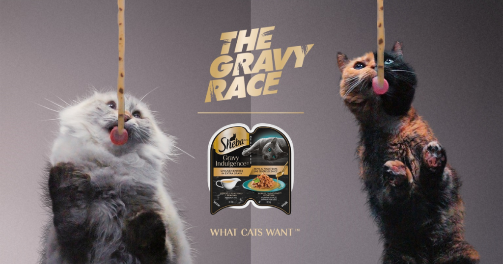 SHEBA Gravy Race Sweepstakes