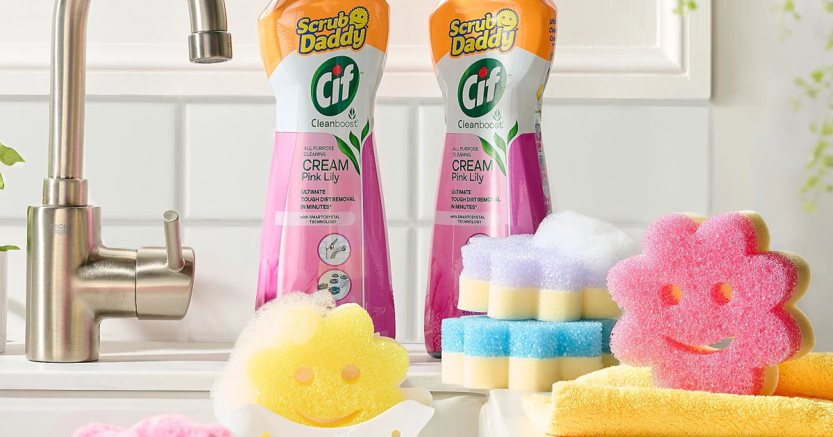 Scrub Daddy Set Scrub Daddy Set