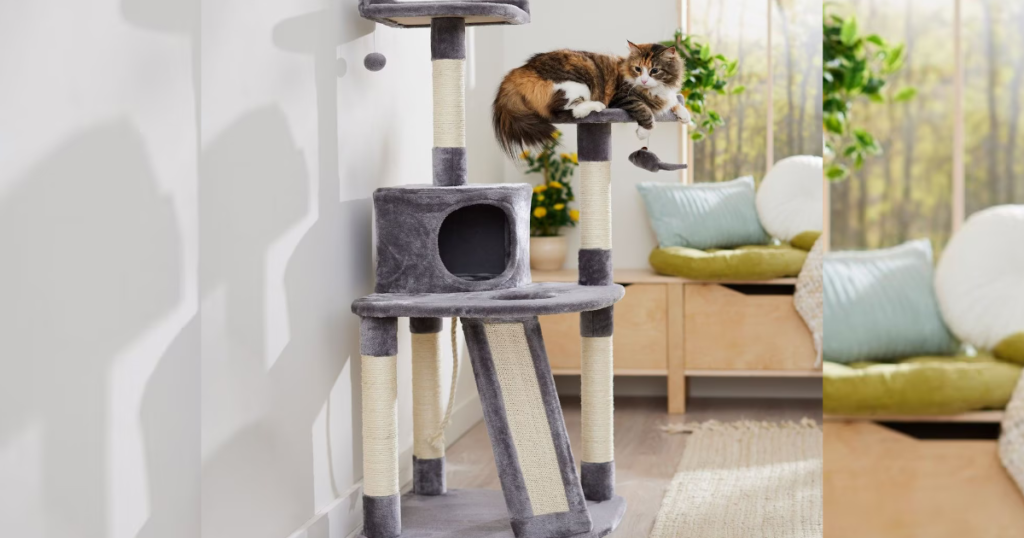 cat tower chewy condy