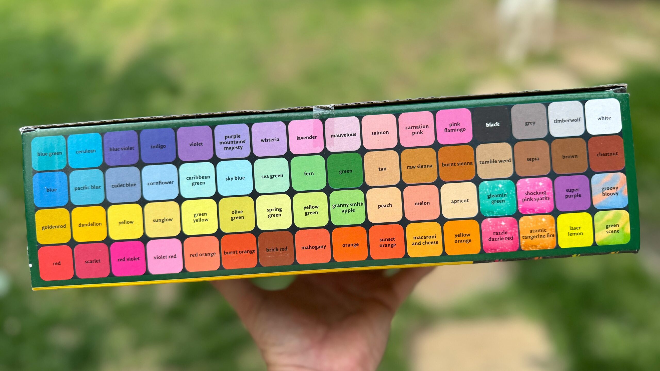 Crayola Sidewalk chalk box top