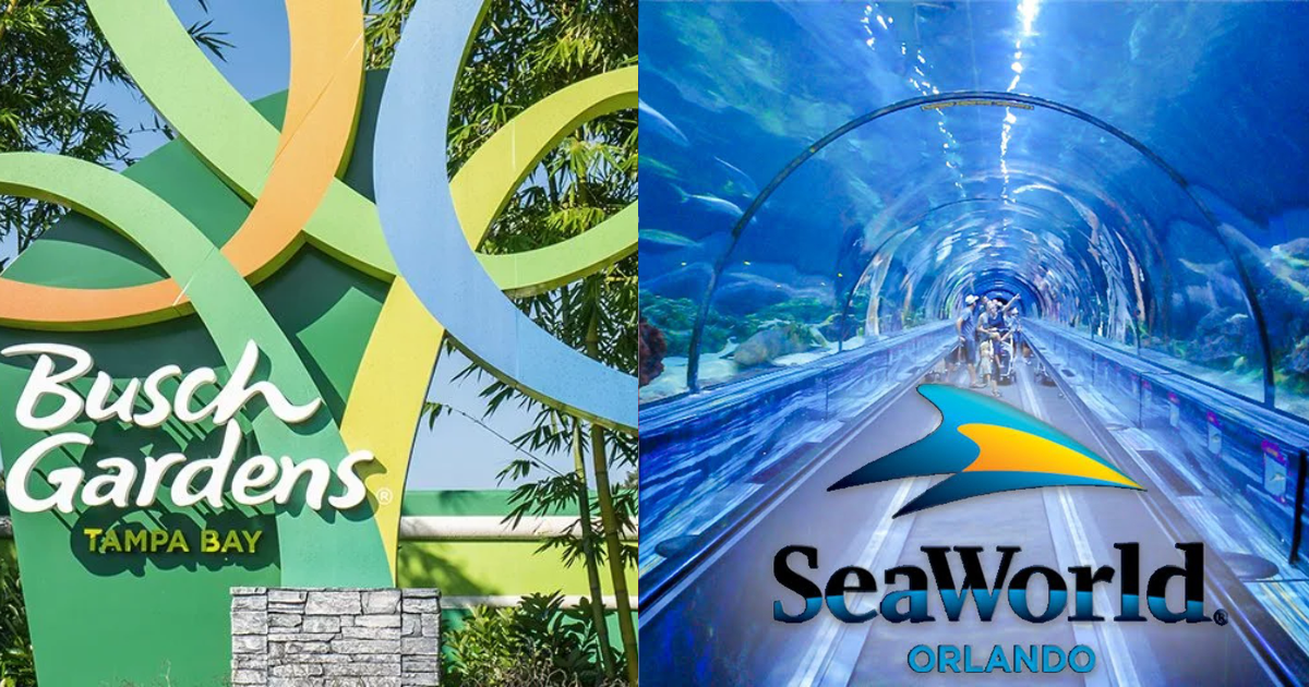 Free Admission to SeaWorld & Busch Gardens for U.S. Veterans + Guests