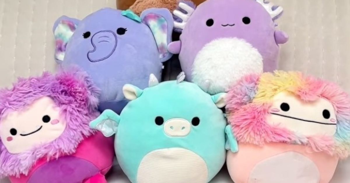 two rows of Squishmallows