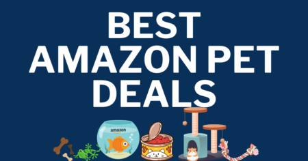 graphic that says best amazon pet deals with images of pets and toys and pet food