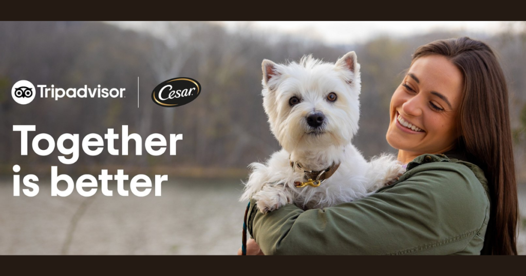 Cesar Traveler’ Choice Pet Friendly Hotels Sweepstakes