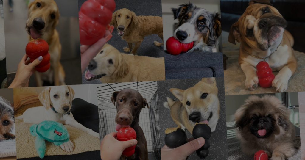 DOGTOPIA KONG’S NATIONAL PET MONTH SWEEPSTAKES