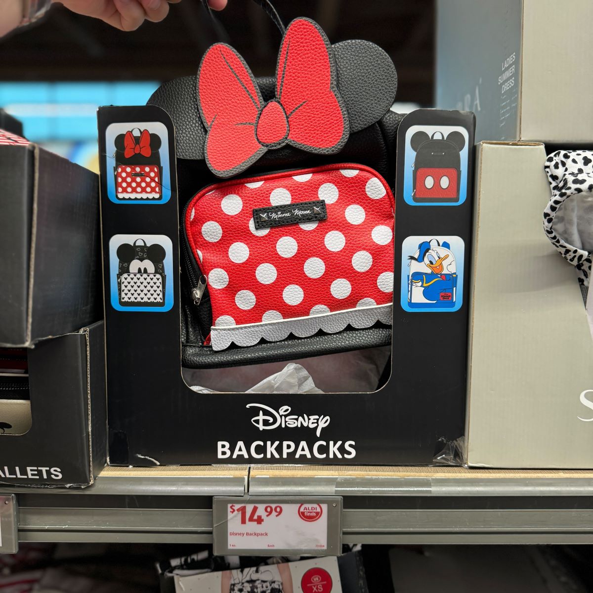 hand holding a Disney backpack