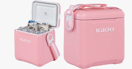 IGLOO COOLER