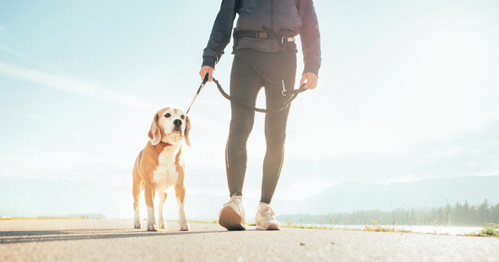 Walking for Exercise Weward Walking for Exercise Weward