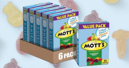 motts fruit snack