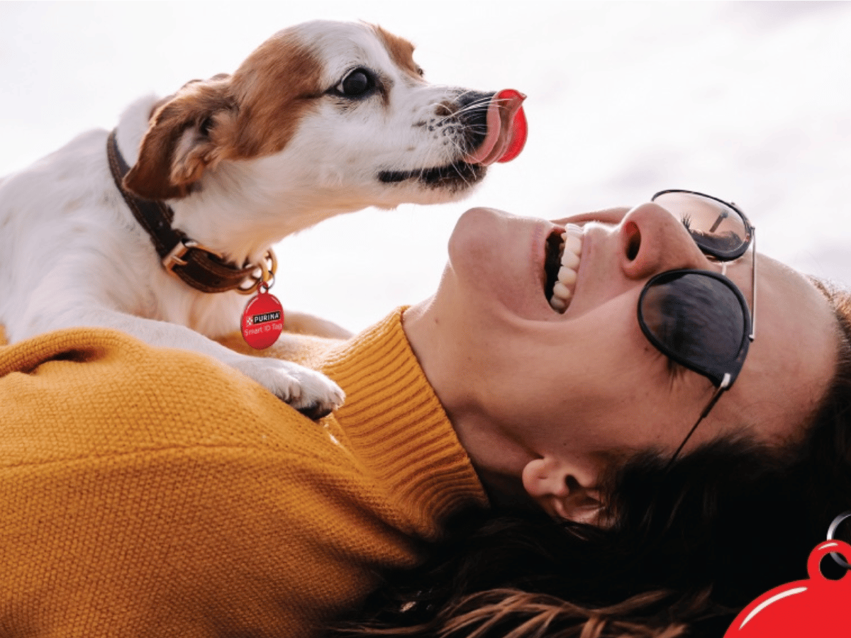 Free Purina Tag Free Purina Tag