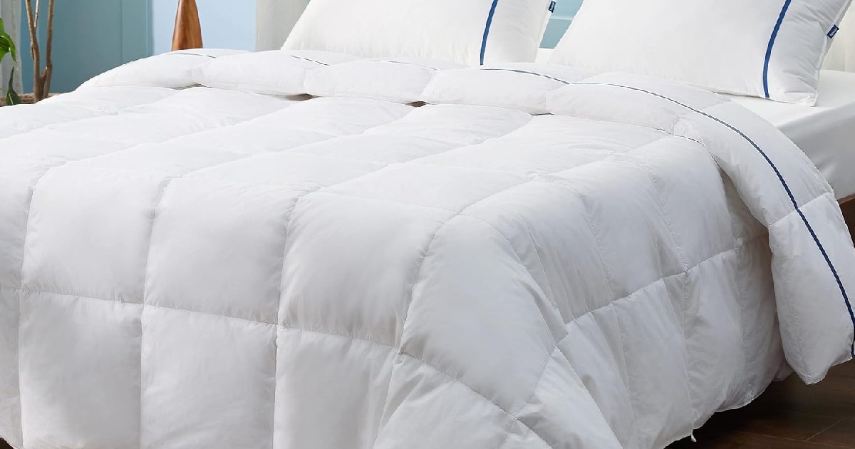 BESURE COMFORTER