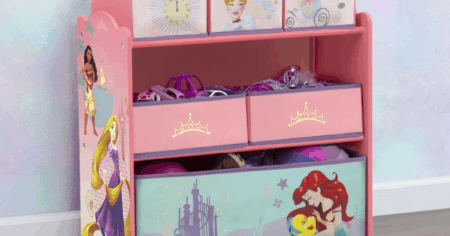 toy storage princess