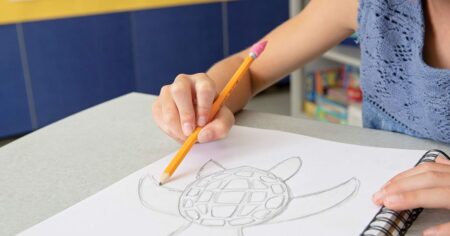 girl drawing a turtle with a pencil