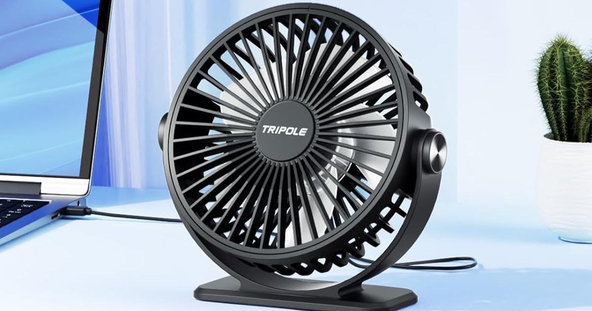 Portable Desk Fan black fan on a desk