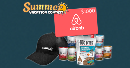 fluval summer vacation