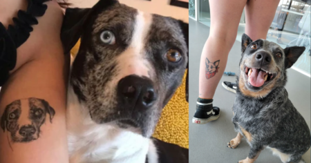 Bark National Dog Day Tattoo Contest