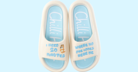 Bluey Slides
