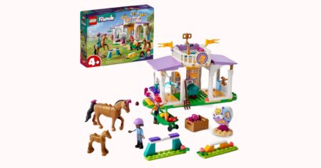 LEGO FRIENDS HORSE TRAINING