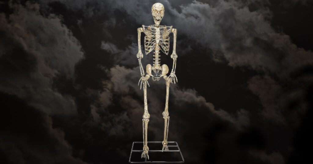 Posable Skeleton Lowe s Posable Skeleton Lowe s