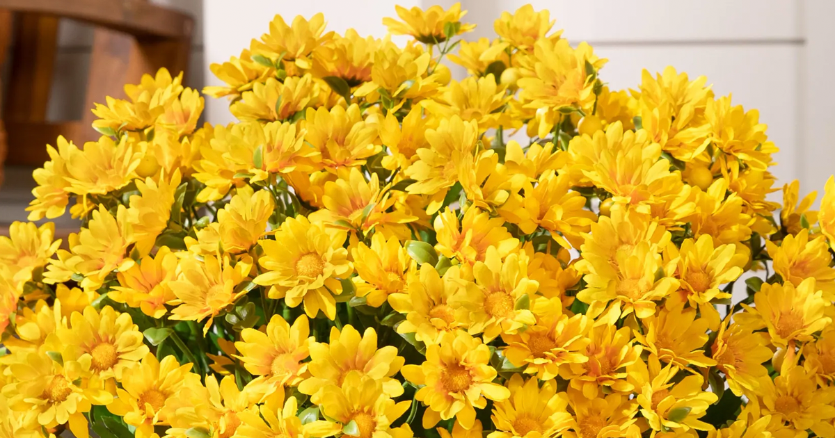 balsam hill fall flowers balsam hill fall flowers