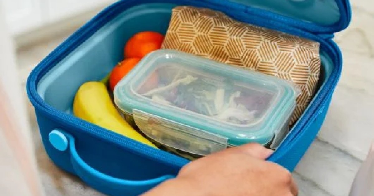 50 Off Hydro Flask Lunch Boxes Perfect For Back To School The 50-off-hydro-flask-lunch-boxes-perfect-for-back-to-school-the