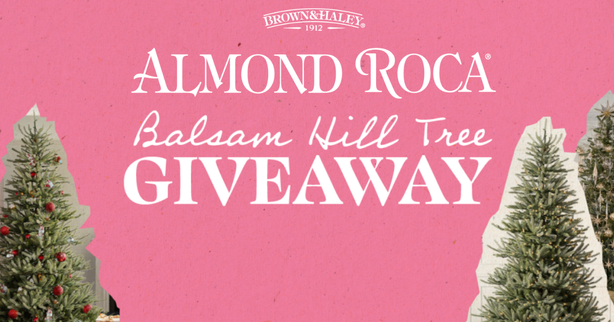 Almond Roca Balsam Hill Christmas Tree Giveaway The Freebie Guy®
