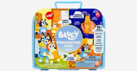 BLUEY IMAGINATION CASE