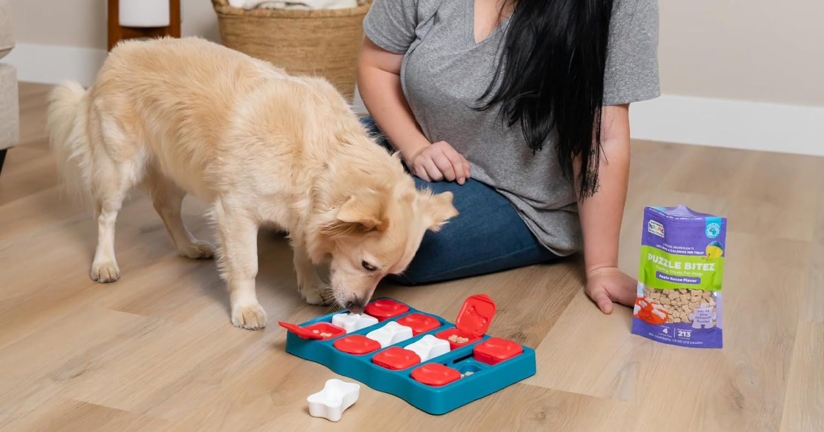 Interactive Dog Feeding Puzzle Interactive Dog Feeding Puzzle