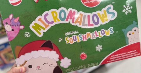 Squishmallows Advent Calendar